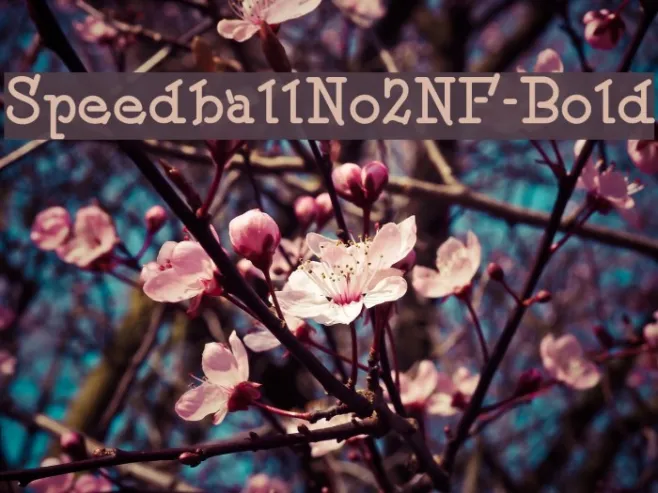 SpeedballNo2NF-Bold Example 2