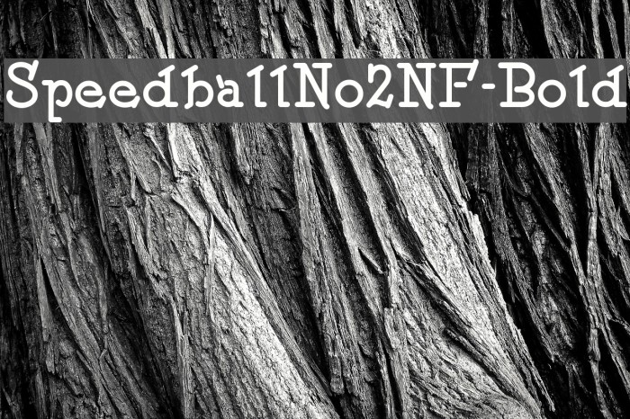 SpeedballNo2NF-Bold Font examples