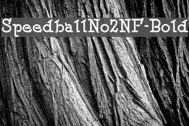 SpeedballNo2NF-Bold Example 3