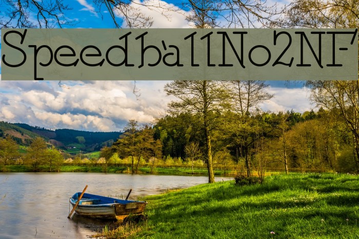 SpeedballNo2NF Example 2