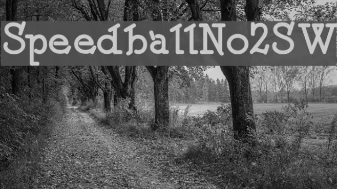 SpeedballNo2SW Font examples