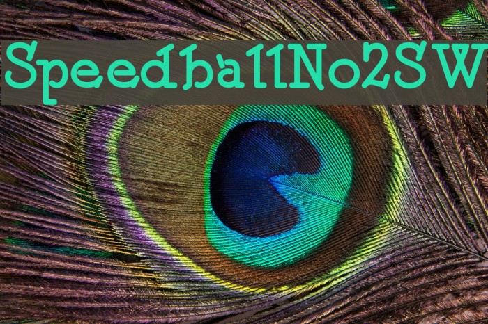 SpeedballNo2SW Font examples