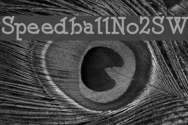 SpeedballNo2SW Font examples