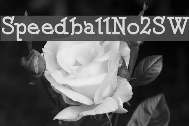 SpeedballNo2SW Font examples