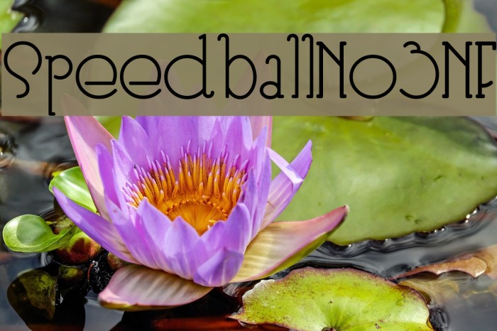 SpeedballNo3NF Example 3