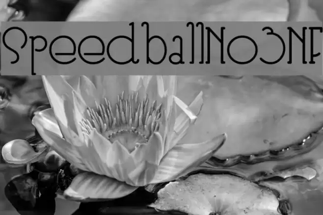 SpeedballNo3NF Font examples