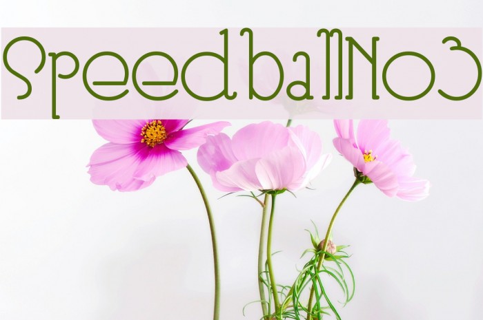 SpeedballNo3 フォント examples