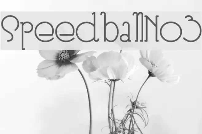 SpeedballNo3 Polices examples