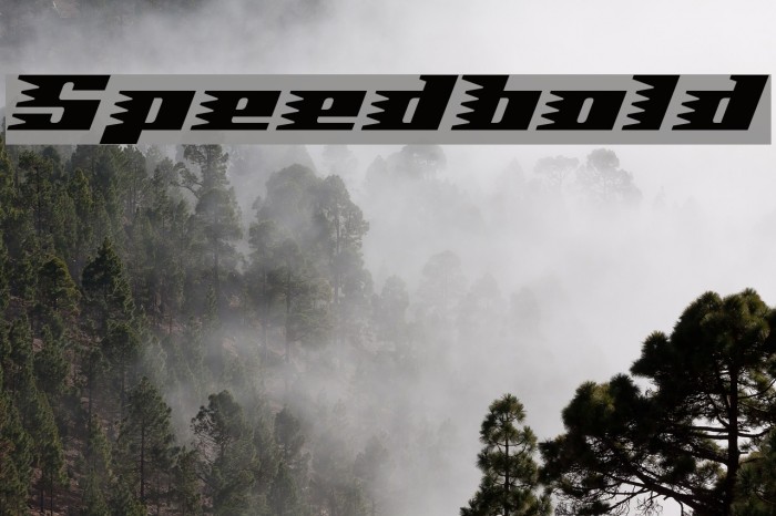 Speedbold Font examples