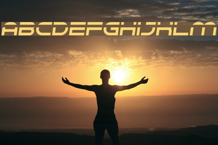 Speedeasy Speedy Font examples
