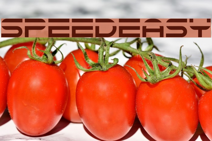 Speedeasy Font examples