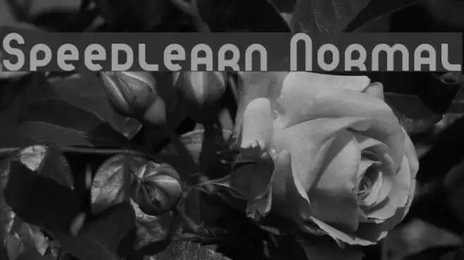 Speedlearn Normal Font examples