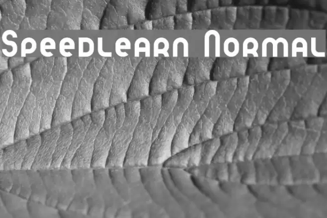 Speedlearn Normal Font examples