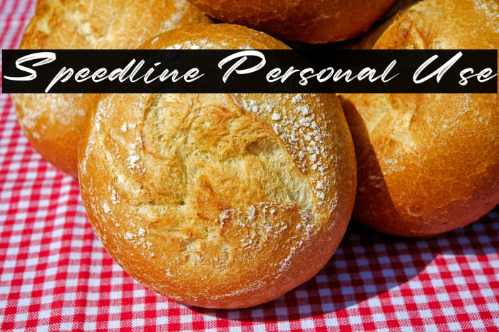 Speedline Personal Use Example 1