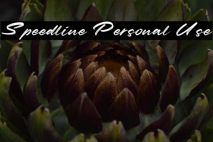 Speedline Personal Use Example 2