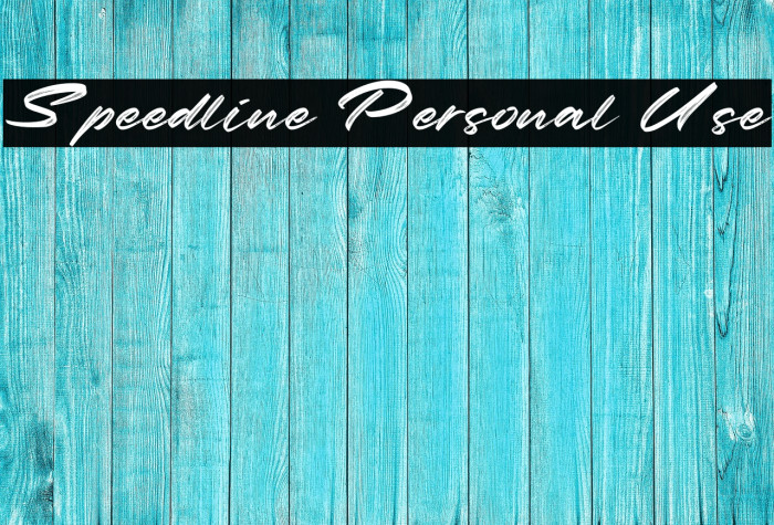 Speedline Personal Use Example 3