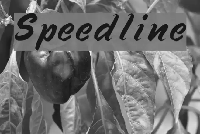 Speedline Font examples