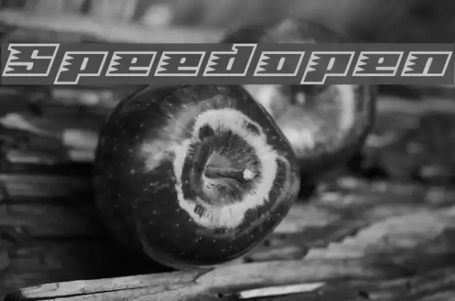 Speedopen Font examples