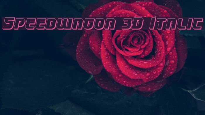 Speedwagon 3D Italic Font examples