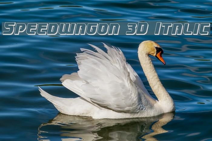 Speedwagon 3D Italic Font examples