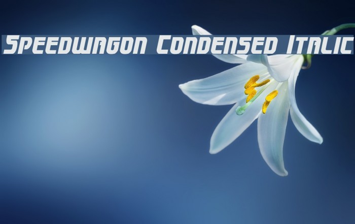 Speedwagon Condensed Italic Font examples