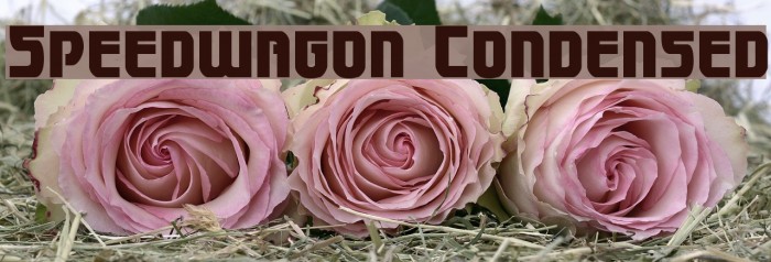 Speedwagon Condensed Example 1