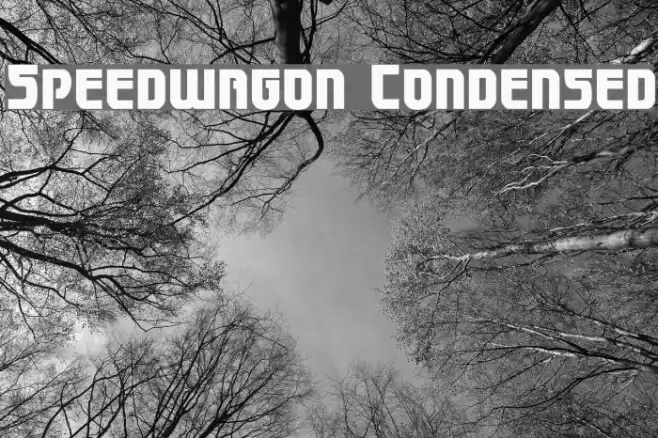 Speedwagon Condensed Font examples