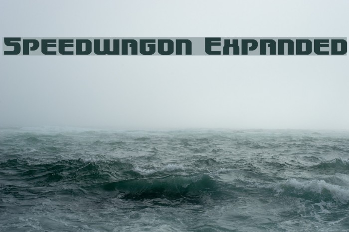 Speedwagon Expanded Example 3