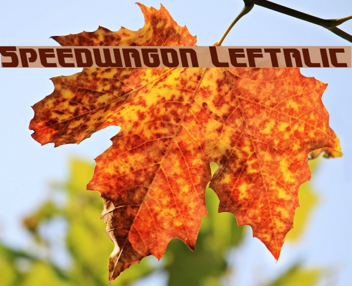 Speedwagon Leftalic Font examples