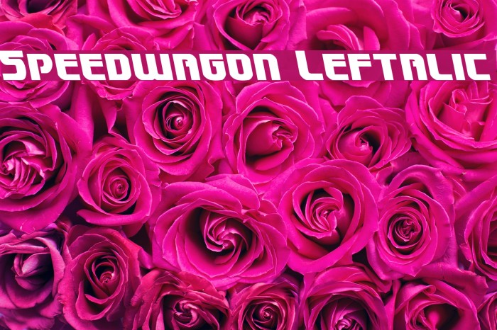 Speedwagon Leftalic Font examples