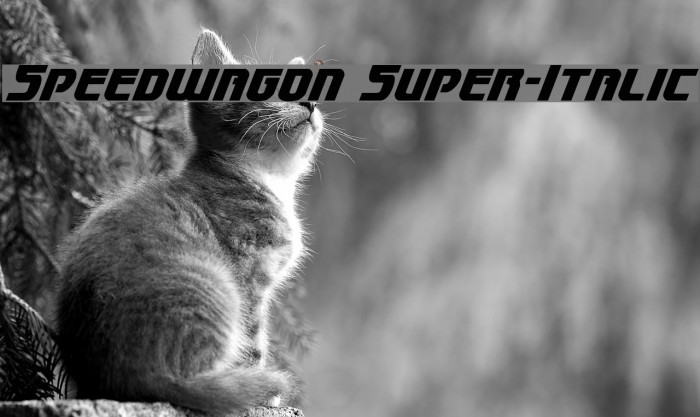 Speedwagon Super-Italic Font examples