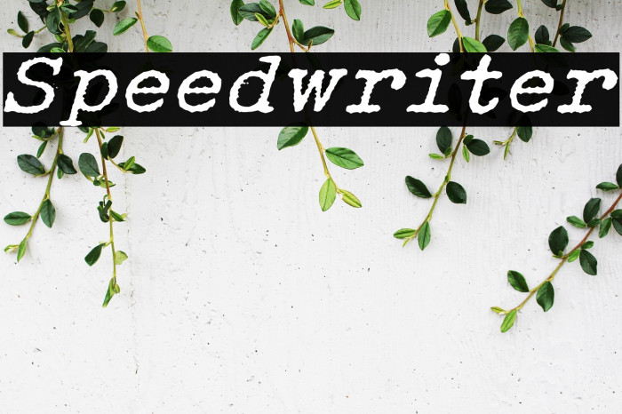 Speedwriter Example 1