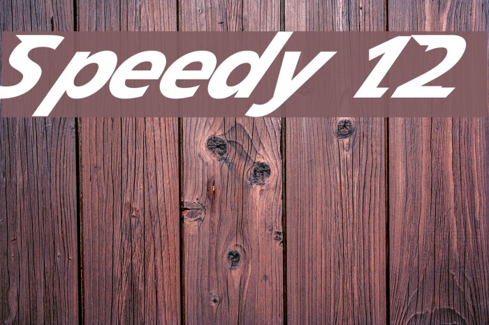 Speedy 12 Example 2