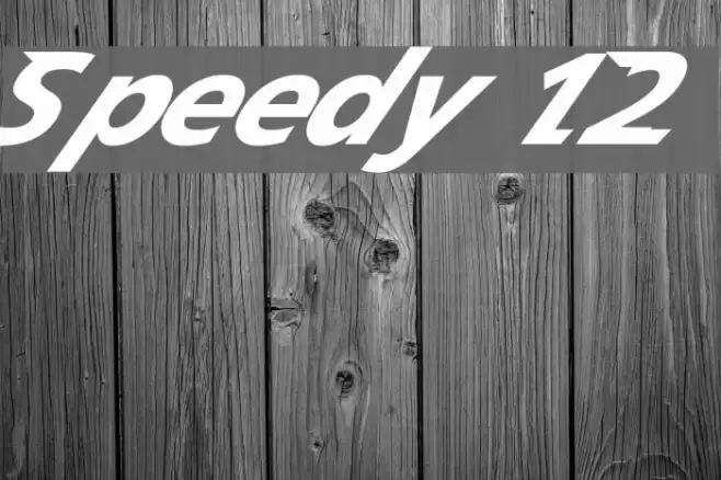 Speedy 12 Font examples