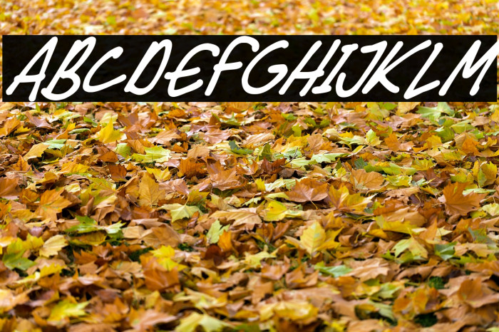 Speedy Marker Italic Font examples