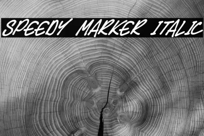 Speedy Marker Italic Font examples
