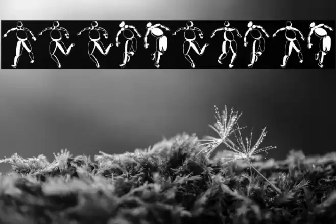 Speel Regular Font examples