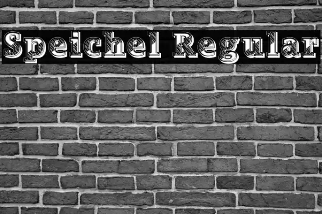 Speichel Regular Font examples