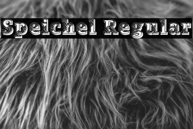 Speichel Regular Font examples