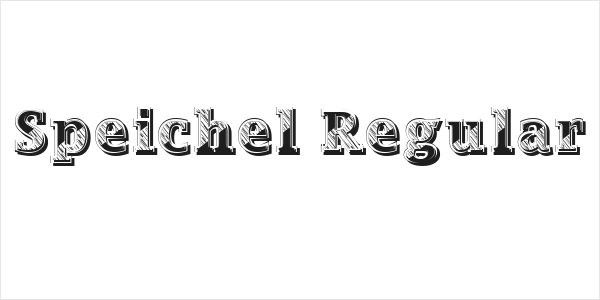Speichel Regular Logo