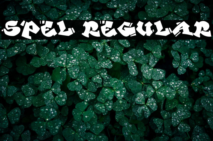 Spel Regular Example 3