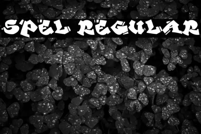 Spel Regular 字体 examples