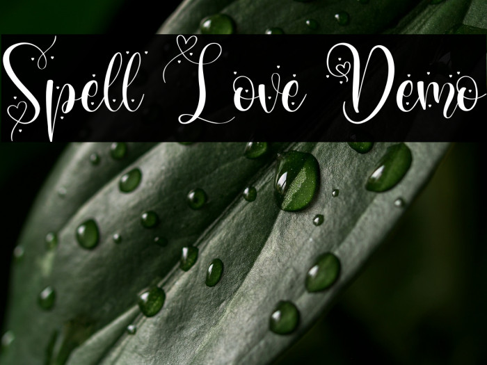 Spell Love Demo Example 3