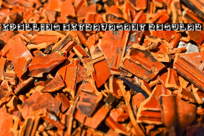 Spelling Extravagant Regular Example 1