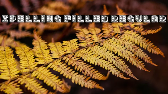 Spelling Filled Regular Example 3