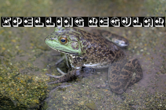 Spelling Regular Example 1