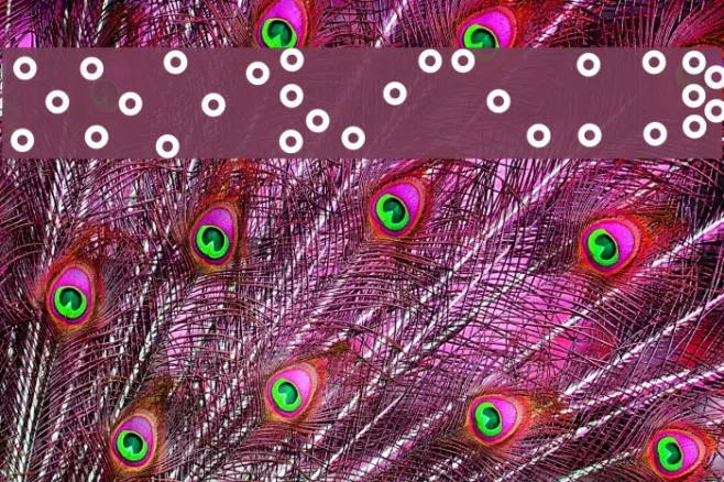 Spelvin Example 2
