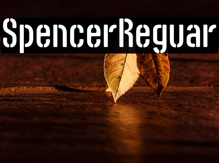 Spencer Regular Example 1