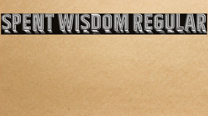 Spent Wisdom Regular Example 1
