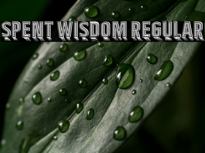 Spent Wisdom Regular Example 2